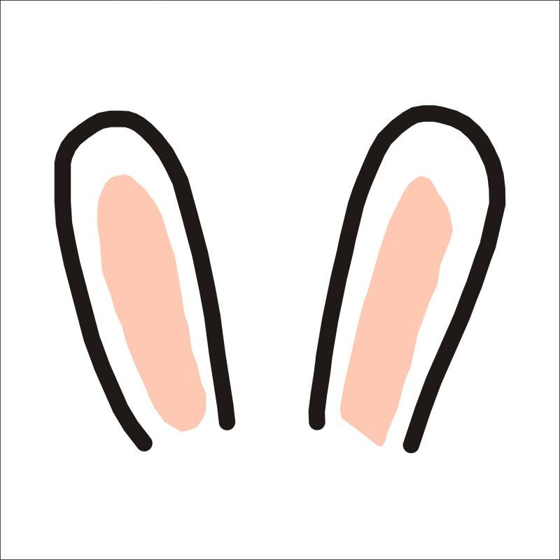 栗兔魔方